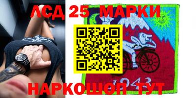 стафф Новокубанск