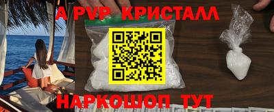 стафф Новокубанск