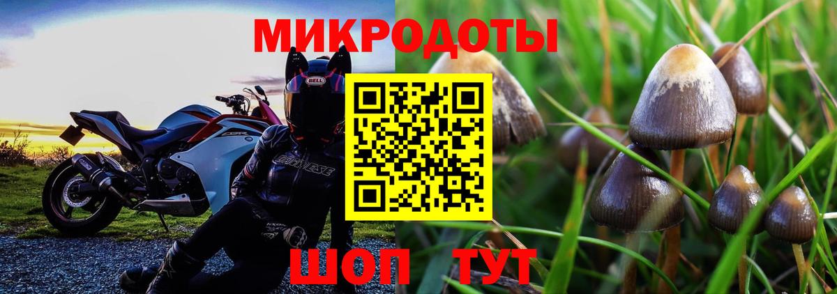 Галлюциногенные грибы Cubensis  Псилоцибиновые грибы ЛСД  Вход с VPN  Новый Уренгой 